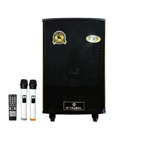 Loa kéo Mitsunal M29 kèm 2 Mic không dây