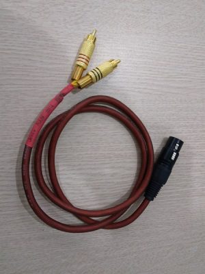 Dây kết nối một đầu Jack Canon và một đầu ra 2 jack Hoa sen dài 1m