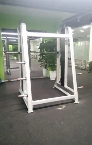 Khung gánh tạ đối trọng Profiness PF-M230 3 2417b69a01b3430fab685471bb349b62