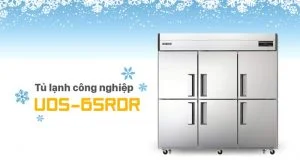 Tủ lạnh 6 cánh 1802L UDS-65RDR