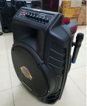 Loa kéo di động Soundbox S16A