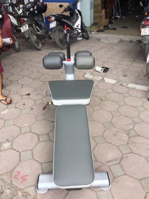 Ghế dốc tập cơ bụng Profiness PF-M250