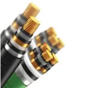 Cáp điện tiếp địa 1x2.5 CDS