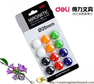 Nam châm Deli 20mm-7824 (viên)