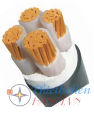 Cáp điện CXV 3x6+1x4 CDS
