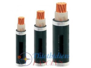 Dây cáp điện Cadisun CXV 1 x 25 mm2