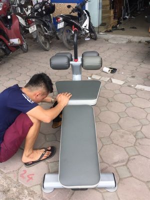 Ghế dốc tập cơ bụng Profiness PF-M250 5 95b81aca41e44653aa4319899482705a