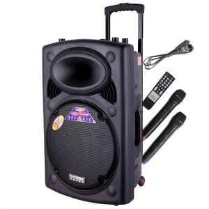 Loa Kéo Temeisheng DP-297L