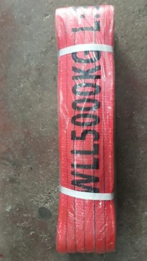 Dây cáp vải cẩu hàng Buffalo 5 tấn 2mét