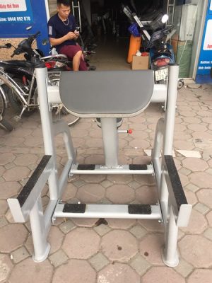 Máy tập tay trước Profiness PF-120 5 e36dbf3323654bba9c318f69b7ddb04d