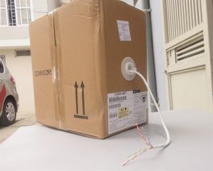 f177e588546246a1841e0f61d7743144