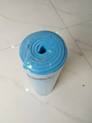 Thảm Yoga 0.5x1.8m màu xanh