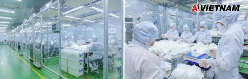 Dây chuyền sản xuất găng tay Nitrile