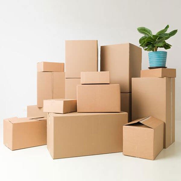 Mua thùng carton ở đâu? Giá thùng carton hiện nay? 1 thung carton