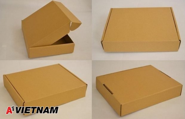 Hộp Carton Nắp Gập 2 Hộp Carton nắp gập