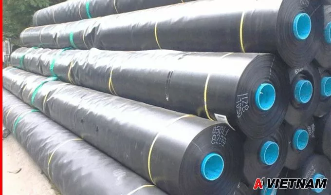 chong tham san thuong 12 jpg