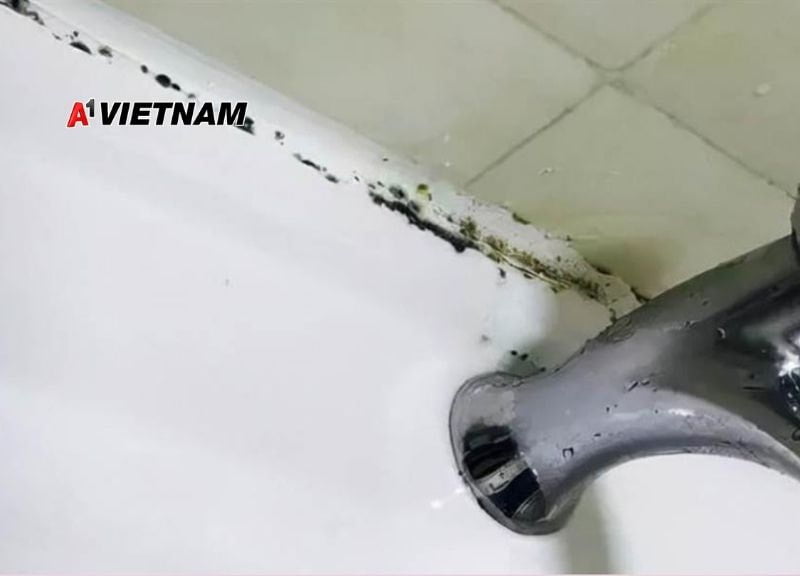 Có rất nhiều nguyên nhân gây ra hiện tượng mốc đen ở keo silicon của gia đình bạn