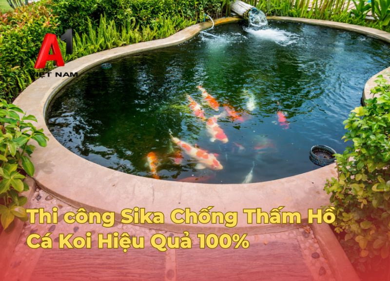 Sika Chống Thấm Hồ Cá Koi Triệt Để 100% 1 sika chong tham ho ca
