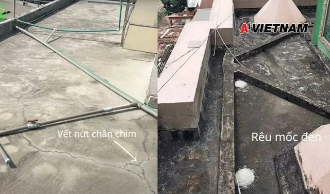 sika chong tham san thuong 1 jpg