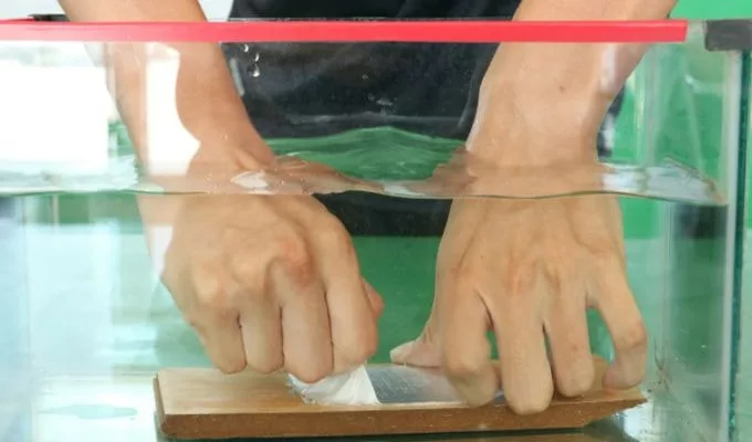 Bang keo chong tham x2000 4 A1 Viet Nam jpg