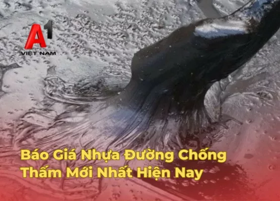 bao gia nhua duong chong tham