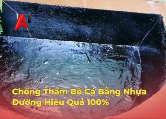 chong tham be ca bang nhua duong