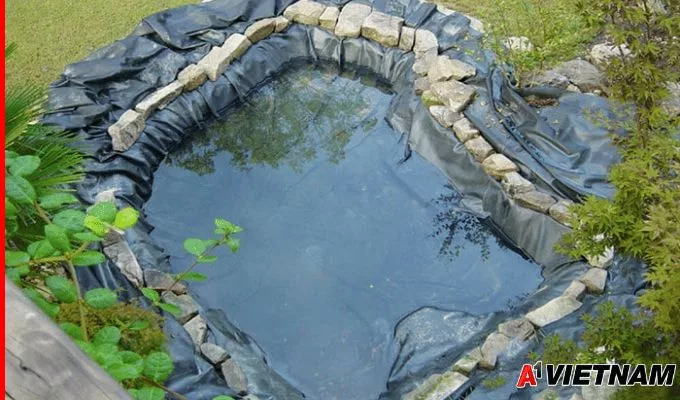 Sử dụng bạt chống thấm hồ cá koi