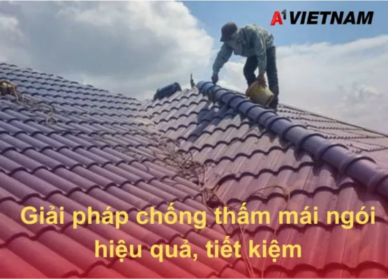 chong tham mai ngoi A1 Viet Nam 1