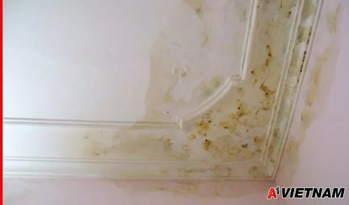 Cách Chống Thấm Nhà Vệ Sinh Tầng 2 Triệt Để 100% 2 cach chong tham nha ve sinh tang 2 1 jpg