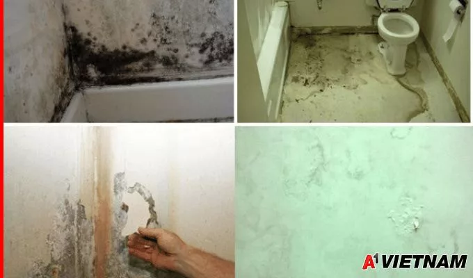 Cách Chống Thấm Nhà Vệ Sinh Chung Cư Triệt Để 100% 6 chong tham nha ve sinh chung cu 1 jpg