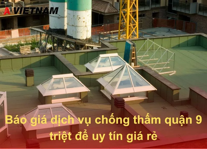 chong tham quan 9 A1 Viet Nam jpg