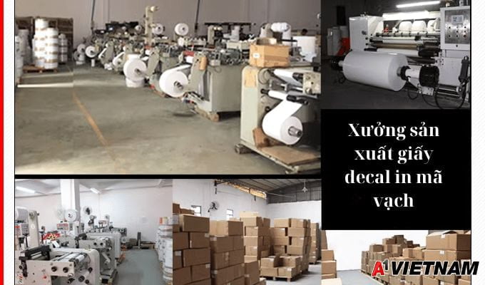 Giấy decal in mã vạch chất lượng cao, giá rẻ 8 giay in ma vach 15