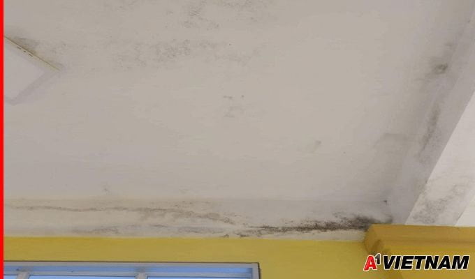 Dịch Vụ Chống Thấm Trần Nhà TPHCM Uy Tín - 【Xử Lý Triệt Để 100%】 2 chong tham nguoc tran nha 1