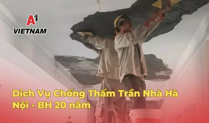 chong tham tran nha ha noi jpg