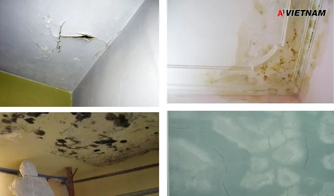 chong tham tran nha chung cu 2 jpg