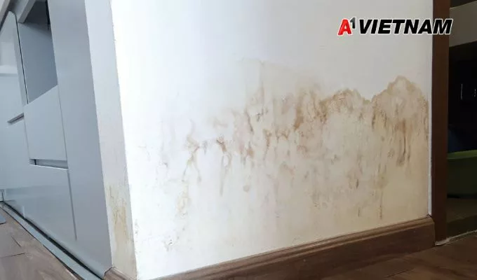 Cách Chống Thấm Tường Nhà Ẩm Triệt Để 100%, Tiết Kiệm Chi Phí 2 chong tham tuong nha am 1 jpg