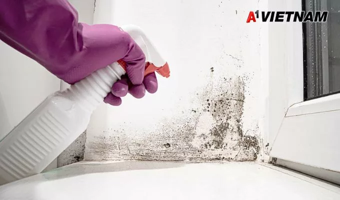 Cách Chống Thấm Tường Nhà Ẩm Triệt Để 100%, Tiết Kiệm Chi Phí 4 chong tham tuong nha am 2 jpg