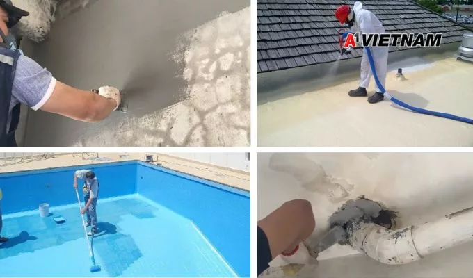 sika nha trang 1 jpg