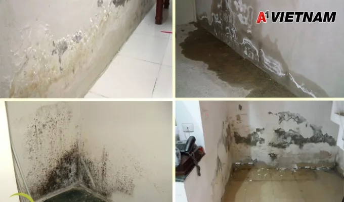 chong tham chan tuong 1 jpg