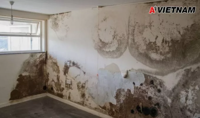 Xử Lý Chống Thấm Cửa Sổ Chung Cư Triệt Để 100% 2 chong tham cua so chung cu 1 jpg