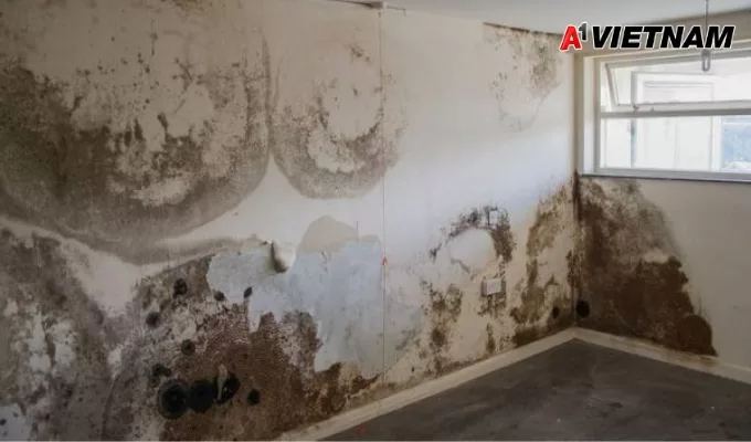 Cách Chống Thấm Khe Giữa 2 Nhà Liền Kề Hiệu Quả 100% 2 chong tham khe giua hai nha 1 jpg