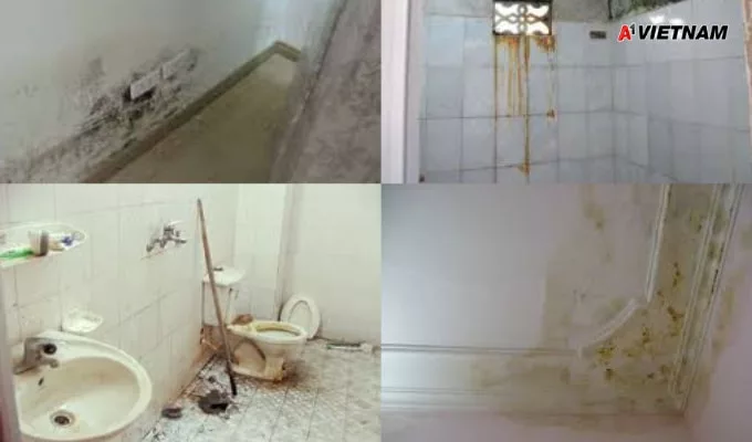 chong tham nha ve sinh tai da nang 2 jpg