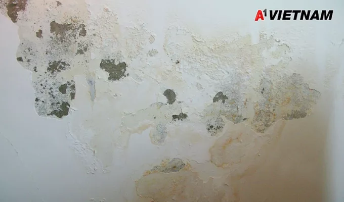 Cách Chống Thấm Tường Nhà Cũ Lâu Năm Triệt Để 100% 2 chong tham tuong nha cu 1 jpg