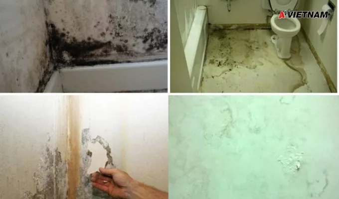 Cách Sửa chữa Chống thấm Nhà Vệ Sinh Cũ Lâu Năm Triệt Để 100% 2 sua chua chong tham nha ve sinh 2 jpg