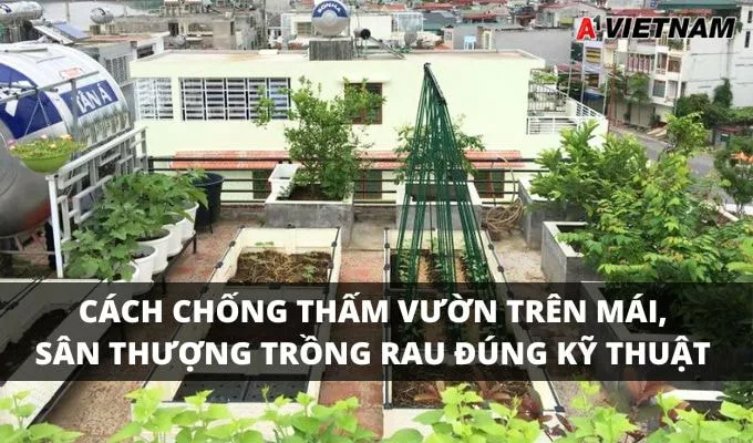 chong tham vuon tren mai 1 jpg