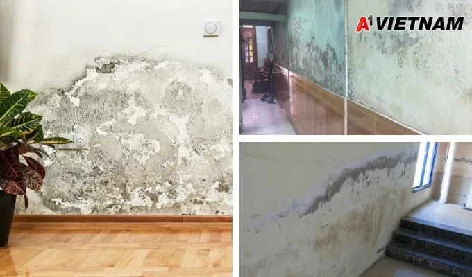 co nen son chong tham trong nha 1 jpg