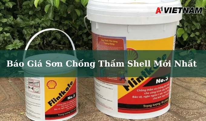 gia son chong tham shell jpg