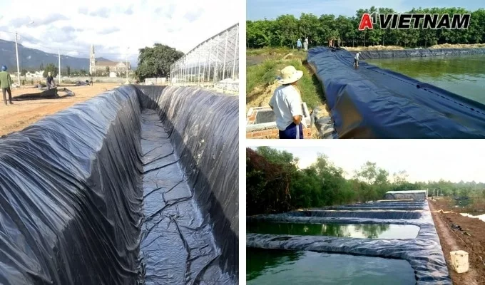 mang chong tham hdpe ha noi 1 jpg