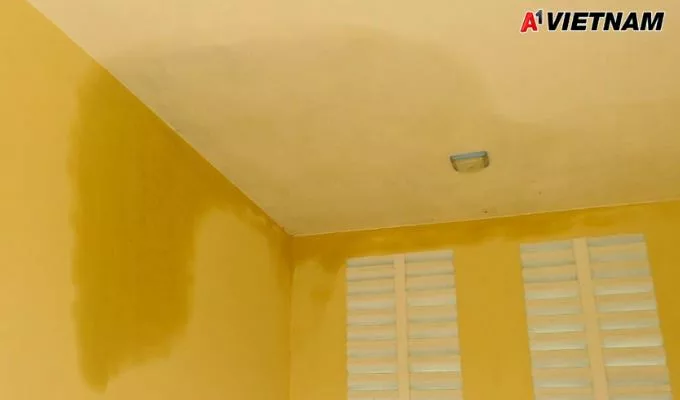 Hướng Dẫn Cách Chống Thấm Tường Bằng Kova Đúng Cách, Hiệu Quả 100% 2 chong tham tuong bang kova jpg