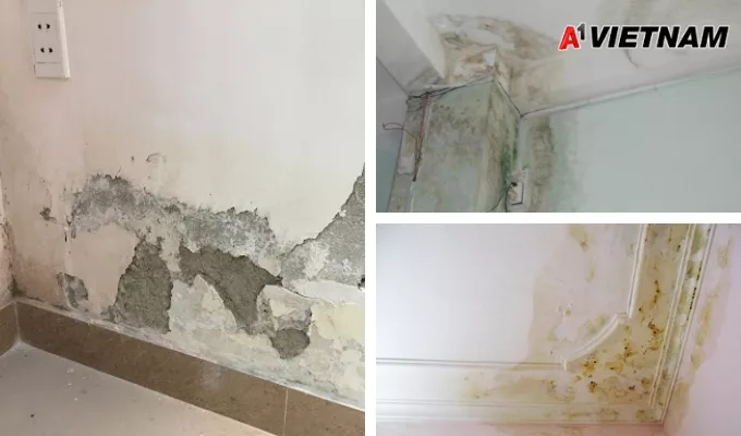 Tại sao phải chống thấm cho công trình xây dựng? 2 tai sao phai chong tham 1 jpg